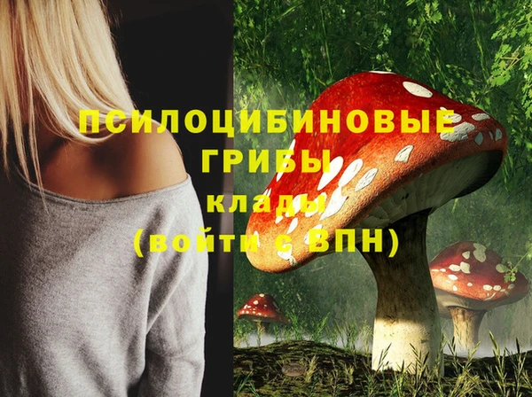 меф Богородицк