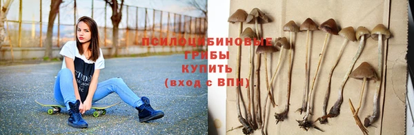 мяу мяу мука Богданович