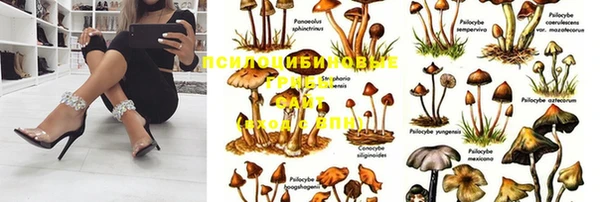 мяу мяу мука Богданович